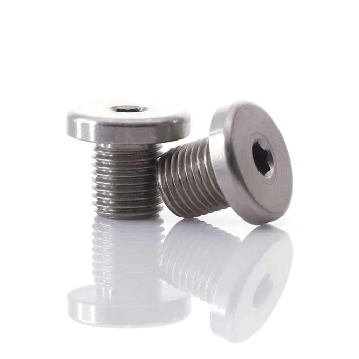 02 Sensor Block Off Screws for Triumph Motorcycles