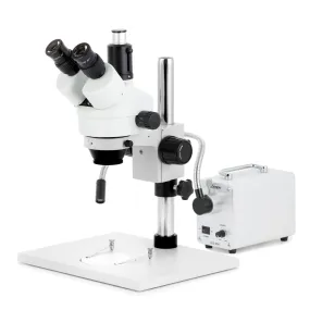 AmScope SM-1 Series Zoom Trinocular Stereo Microscope on Pillar Stand with Extra Large Base Plate w/30W LED Single Fiber Optic Gooseneck Light and HD Recording Camera