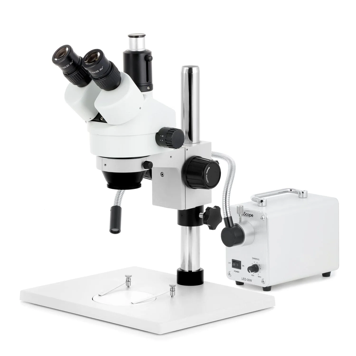 AmScope SM-1 Series Zoom Trinocular Stereo Microscope on Pillar Stand with Extra Large Base Plate w/30W LED Single Fiber Optic Gooseneck Light and HD Recording Camera