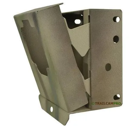 Browning Advantage Security Case