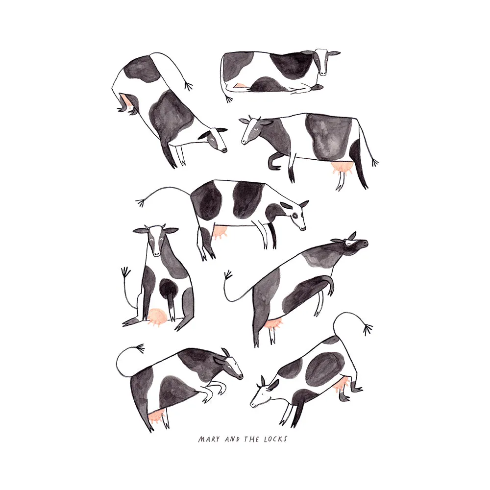 Cows