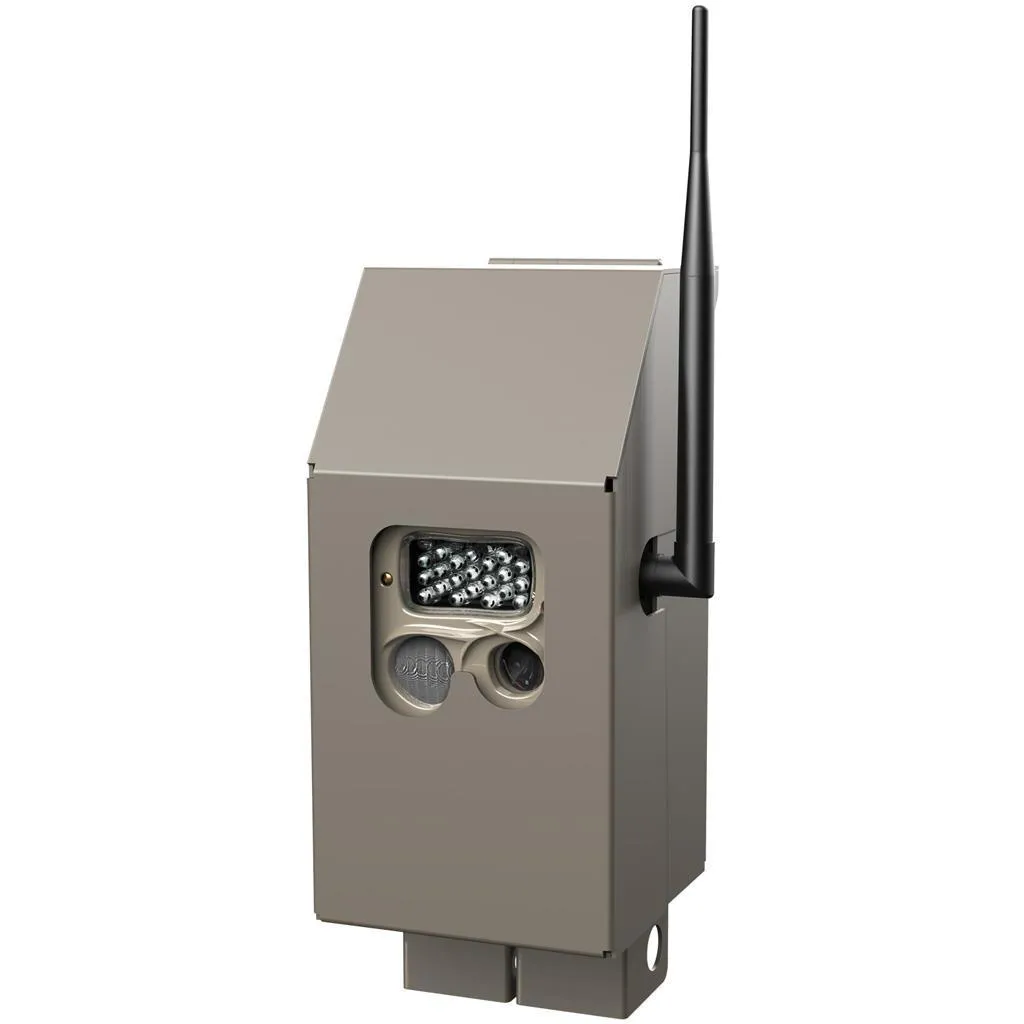 Cudde Back Cuddelink Bear Safe J Series