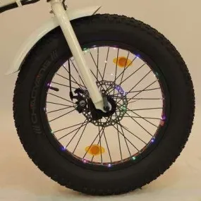 ECOTRIC Spoke Lights