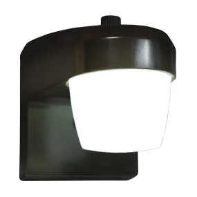 Entry and Patio Light