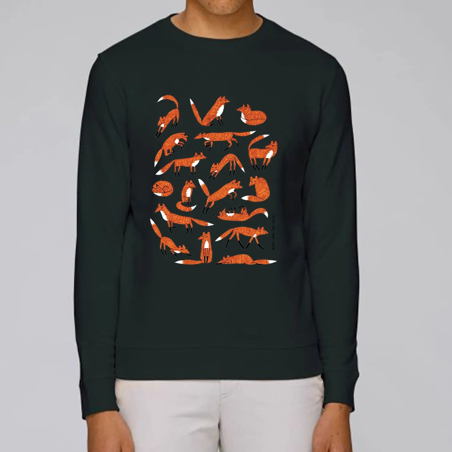 Foxes
