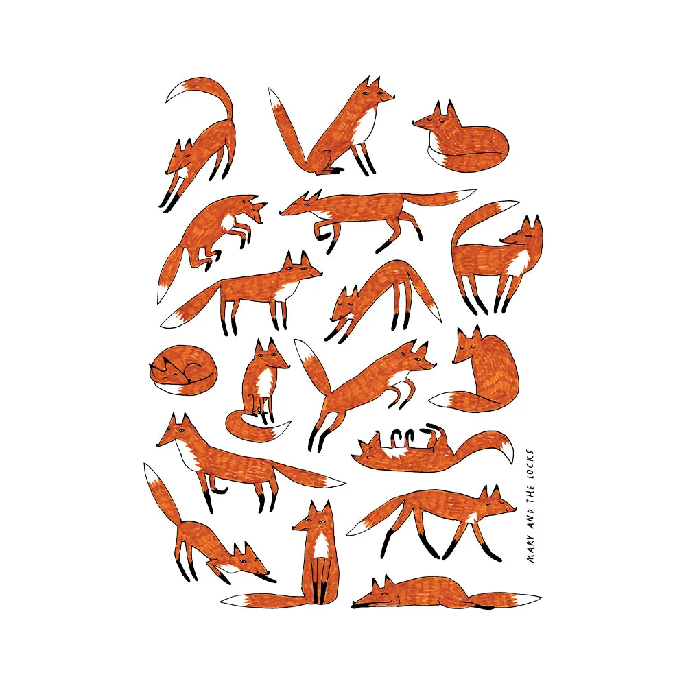 Foxes