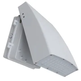 Morris Products 71159 120W LED Slim Line Flood- Wallpack  5000K White