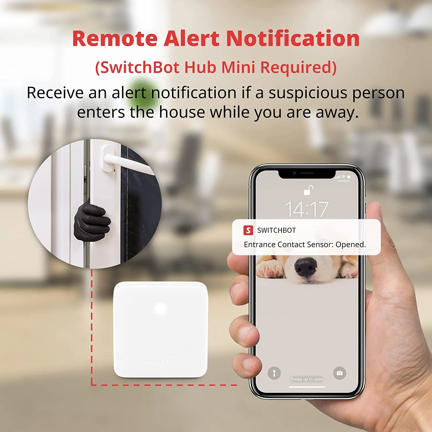 SwitchBot Contact Sensor | Smart Wireless Window Alarm and Door Sensor, Add SwitchBot Hub Mini to Make it Compatible with Alexa