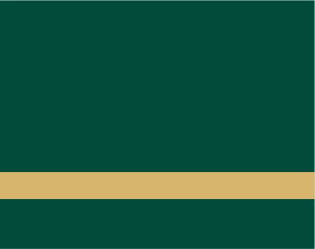 Ultra-Mattes Hunter Green/Gold